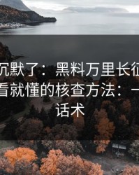 看完我沉默了：黑料万里长征首页黑料：一看就懂的核查方法：一招搞懂话术