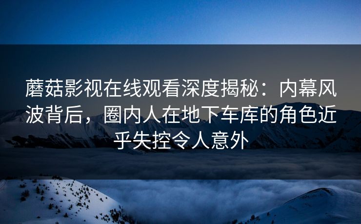 蘑菇影视在线观看深度揭秘:内幕风波背后,圈内人在地下车库的角色近乎失控令人意外 蘑菇影视在线观看深度揭秘:内幕风波背后,圈内人在地下车库的角色近乎失控令人意外
