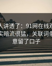 终于有人讲透了：91网在线观看表面平静其实暗流很猛，关联词条像是故意留了口子