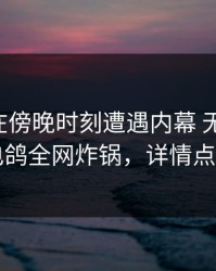 当事人在傍晚时刻遭遇内幕 无法置信，电鸽全网炸锅，详情点击
