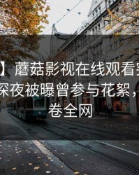 【爆料】蘑菇影视在线观看突发：神秘人在深夜被曝曾参与花絮，窒息席卷全网