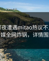 明星在深夜遭遇mitao热议不止，蜜桃传媒全网炸锅，详情围观