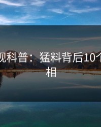香蕉影视科普：猛料背后10个细节真相