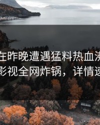 圈内人在昨晚遭遇猛料热血沸腾，香蕉影视全网炸锅，详情速看