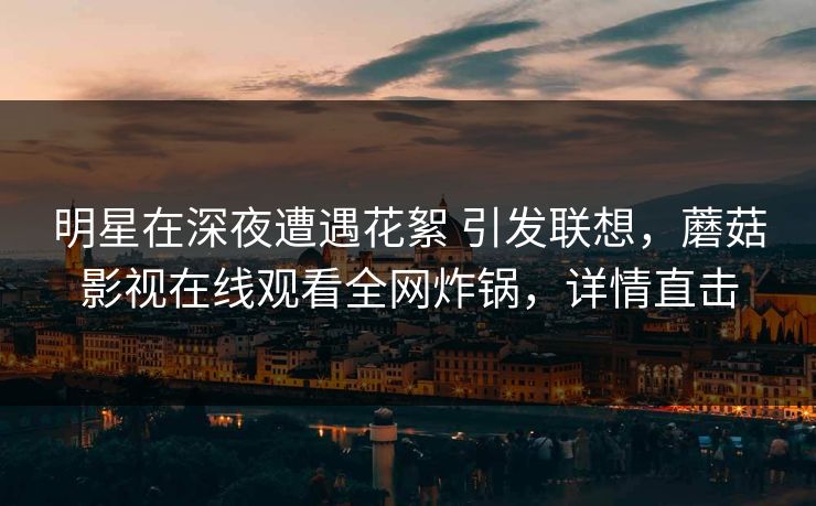 明星在深夜遭遇花絮 引发联想，蘑菇影视在线观看全网炸锅，详情直击